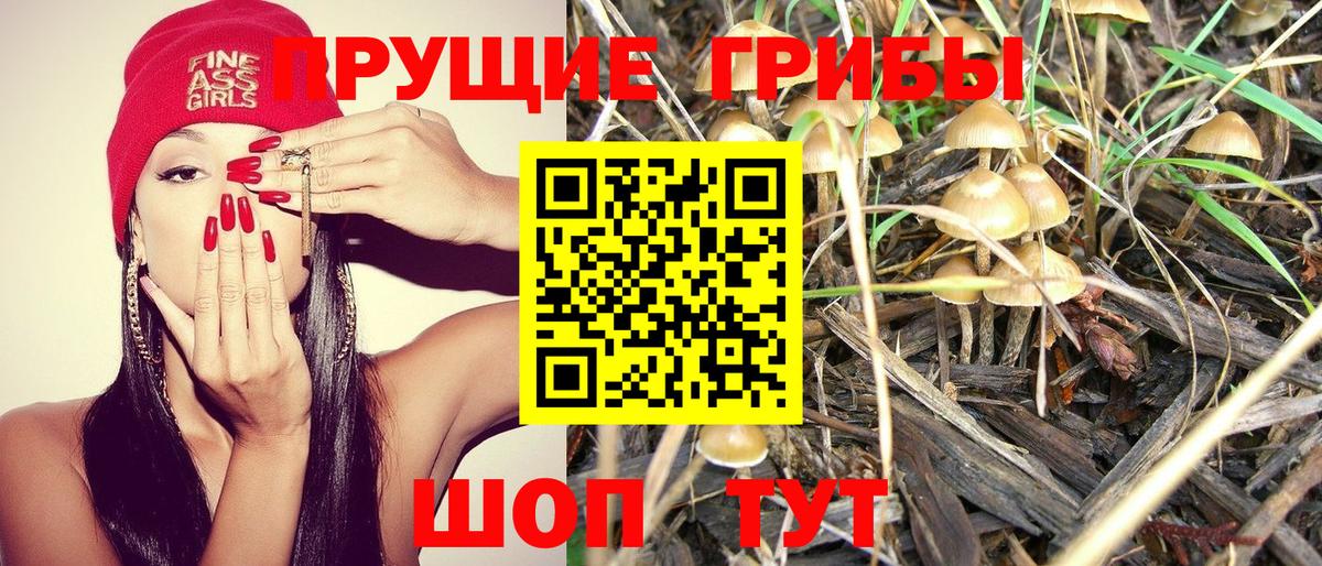 Псилоцибиновые грибы мухоморы  Вход с VPN  Галлюциногенные грибы мицелий  Балтийск 